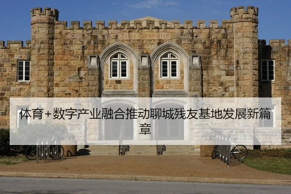 体育+数字产业融合推动聊城残友基地发展新篇章